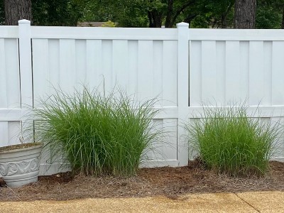 Fence Washing