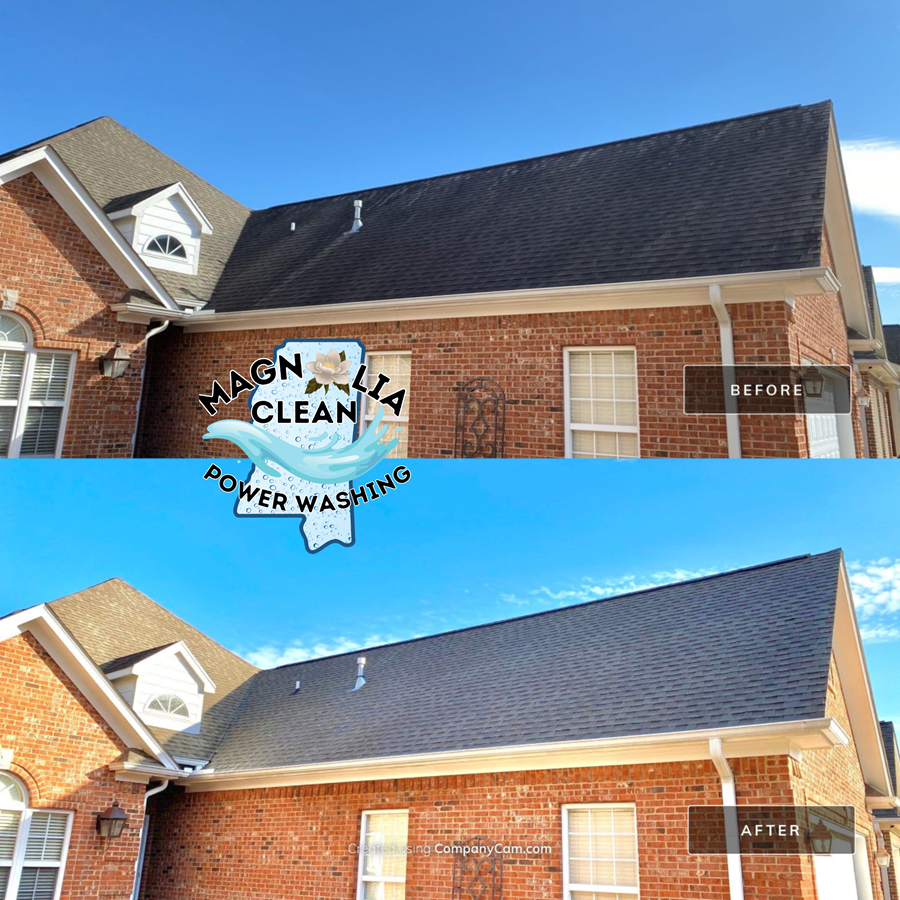 Roof cleaning in tupelo ms