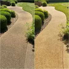 Interior Gutter and Walkway Cleaning in Tupelo, MS 1